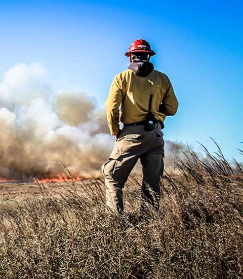 A firefighter in protective gear hangs back from a fire and watches the smoke plume