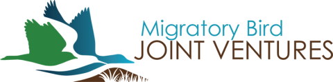Artistic birds silhouettes with Migratory Bird Joint Ventures text