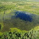 An aerial view of a water trail on the Okefenokee Swamp National Wildlife Refuge.