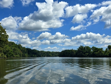 Calm river with trees along both shorelines and a partly cloudy blue skie.
