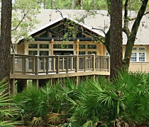 Looking through the pine trees at the Environmental Education Building at the St. Marks NWR