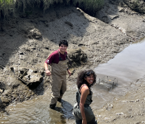 Two field workers in waders in a muddy estuary checking a crab trap. Mud and marsh vegetation in the background.