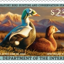 2025-2026 Federal Duck Stamp featuring a pair of spectacled eiders on the ground in grassy area.