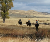 Three hunters on horseback