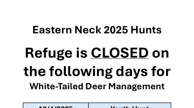 Eastern Neck 2025 Hunt Closures