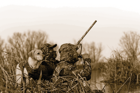 Two duck hunters sitting in the tules with a dog