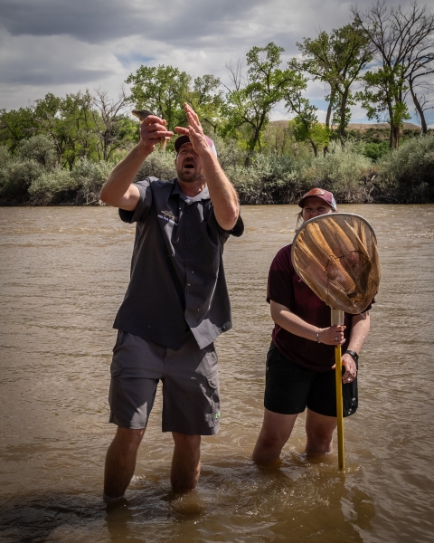 A man holds a fish up in the air before releasing it into the river that he is standing in. There is a student standing next to the man holding a fishing net.