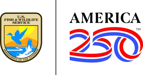 USFWS logo along with America 250 logo