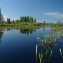 Silky smooth deep blue water surrounded by green trees and vegetation. The trees and vegetation are reflected on the water.