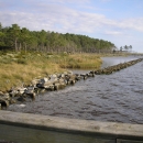 A forest fringed by grassy marsh is bordered by a partially submerged rock wall