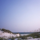 Sand dunes with sea oats and water in the background