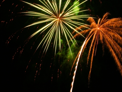 Fireworks in the night sky