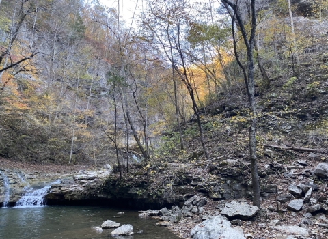 Gentle stream flowing from the headwaters of a river in autumn forest. Rocks and fallen foliage on the shore.