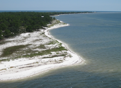 Aerial view of coastline with coastal vegetation dominating white, sandy beach.