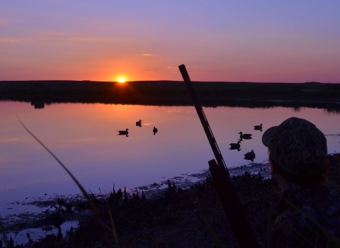 Waterfowl hunting at sunset
