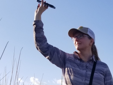Biologist Christy Hand raises her arm and holds up a phone using playback audio while searching for Eastern black rail birds in South Carolina. 