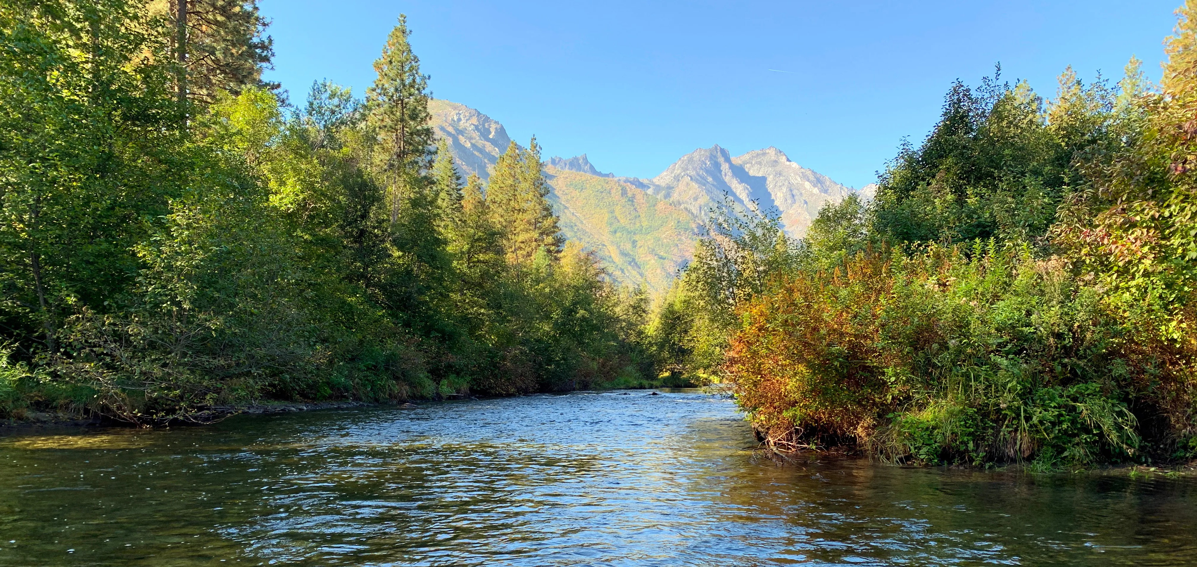 Icicle Creek to the Wenatchee River, Washington | FWS.gov