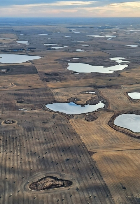 Aerial photo of wetlands scattered across farm fields.
