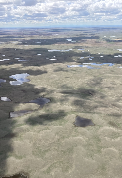 Aerial view of wetlands