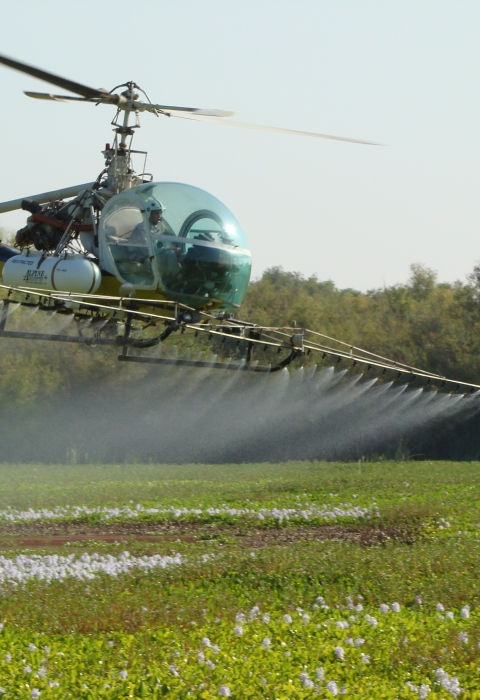 Aerial spraying of water hyacinth