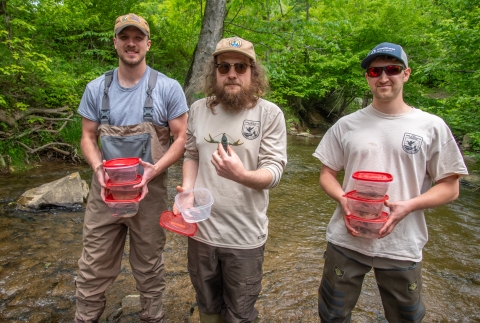 Three biologists hold plastic containers as they stand in a creek. One holds a Big Sandy crayfish in his hand.