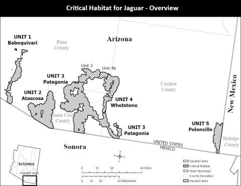Map of the current jaguar critical habitat designation and the areas vacated by the August 2023 ruling.