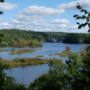 A view over a portion of a river surrounded by lush greenery with a blue sky in the background