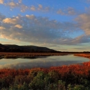 Wallkill River National Wildlife Refuge at Sunrise