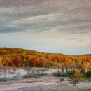Fall foliage in Canaan Valley