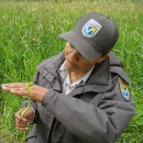 A USFWS biologist handles a small green snake with tall green grass in the background