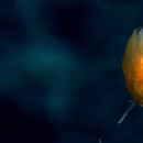 dandelion siphonophore floating in deep dark marine water