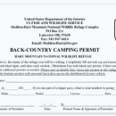 Small screengrab shows black and white form with graphics and text