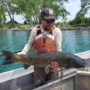 Image of FWS employee holding a large dark fish.