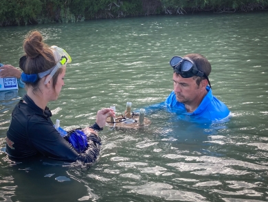 Researchers assemble a mussel silo