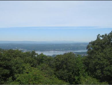 Photograph from a wooded hilltop of the Hudson River 