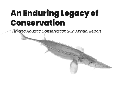 A large grey fish with armored scales float on a white background. Heavy black text reads "an enduring legacy of conservation. Fish and Aquatic Conservation 2021 annual report.