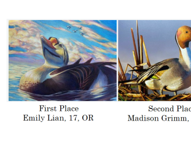 Junior Duck Stamp 2024 Winning images