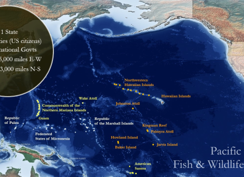 A map showing the Pacific Islands. The map shows the area of responsibility the Pacific Islands Fish and Wildlife Office hold across territories in the Pacific.