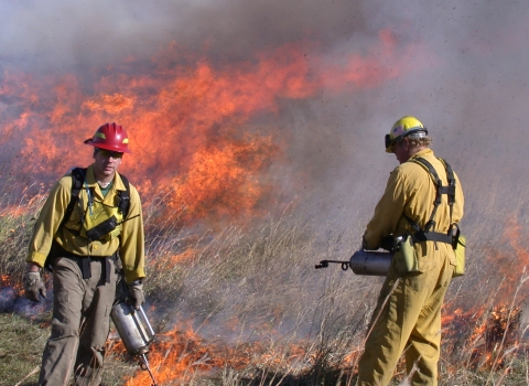 Two wildland firefighters using drip torches to set a prescribed fire. Fire is burning in a grassland behind them.