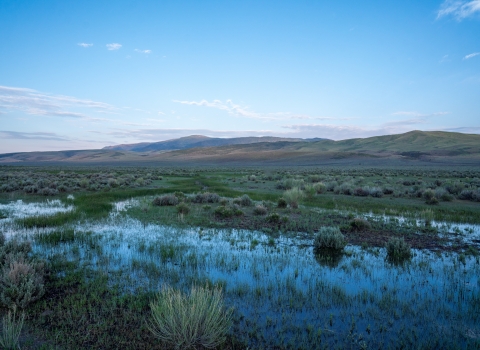 Wetland meadows with hills in the background at dawn.