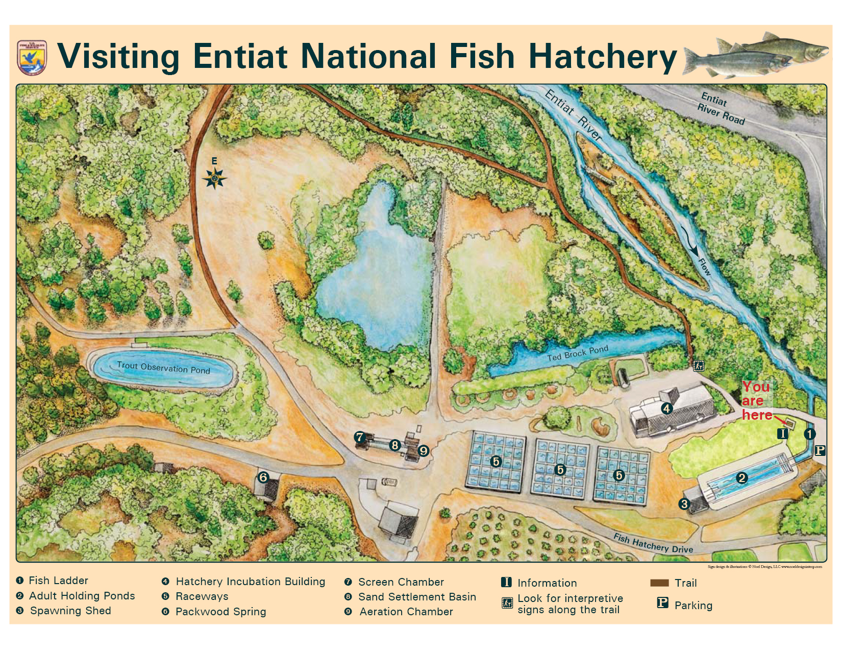 Tour map of Entiat National Fish Hatchery | FWS.gov