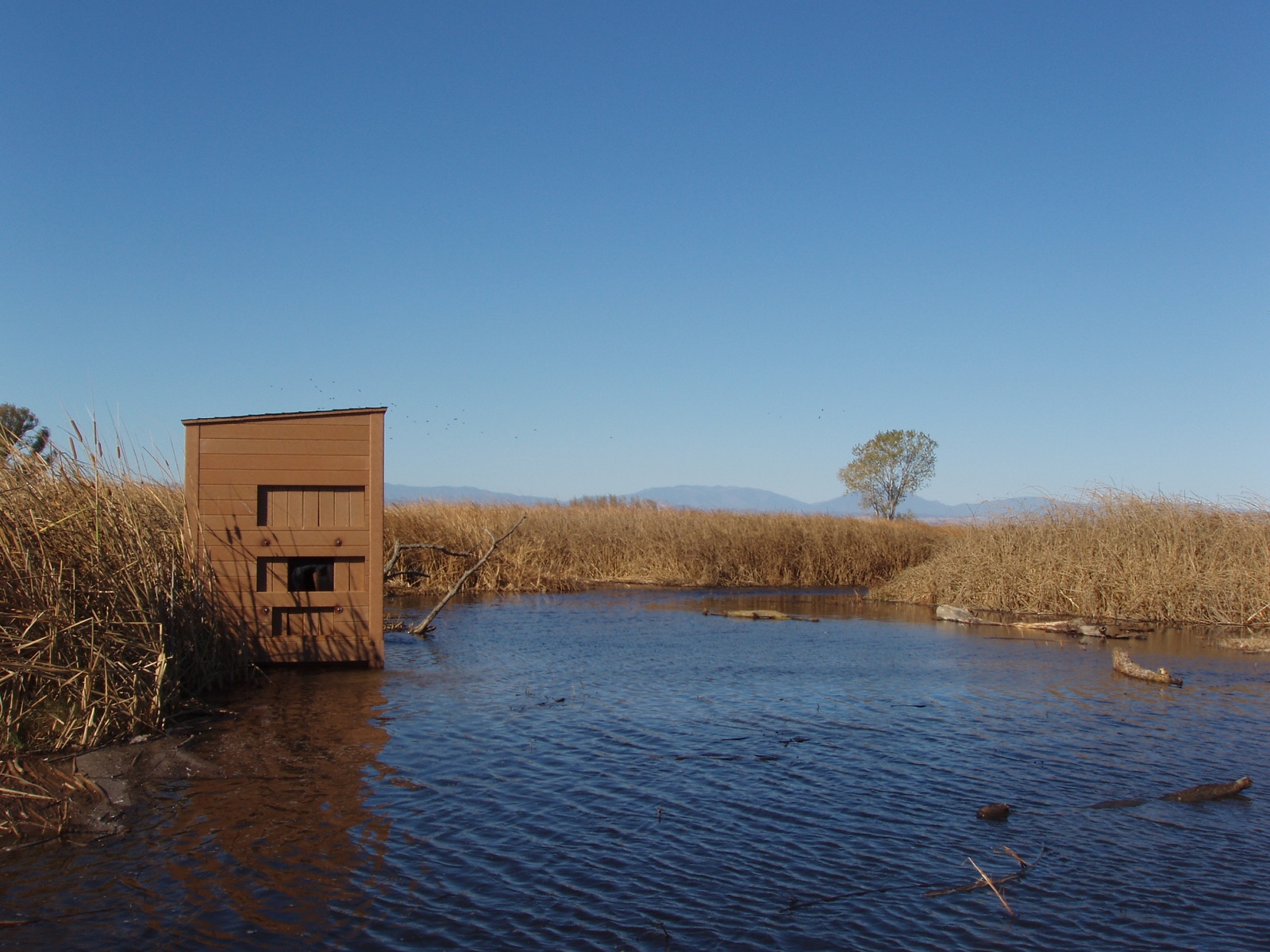 Delevan Refuge Photo Blind 4 At Sacramento National Wildlife Refuge 