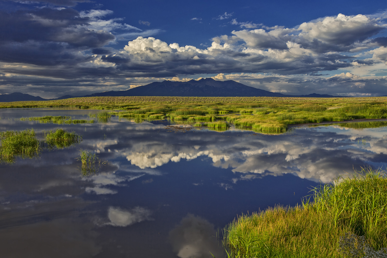 View of wetlands and Mt. Blanca from Alamosa Refuge | FWS.gov