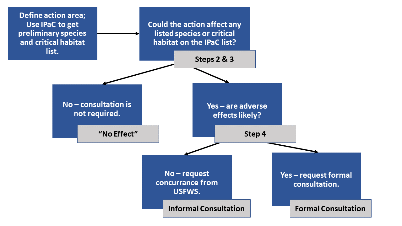 Section 7 Consultation Process Flow Chart | FWS.gov