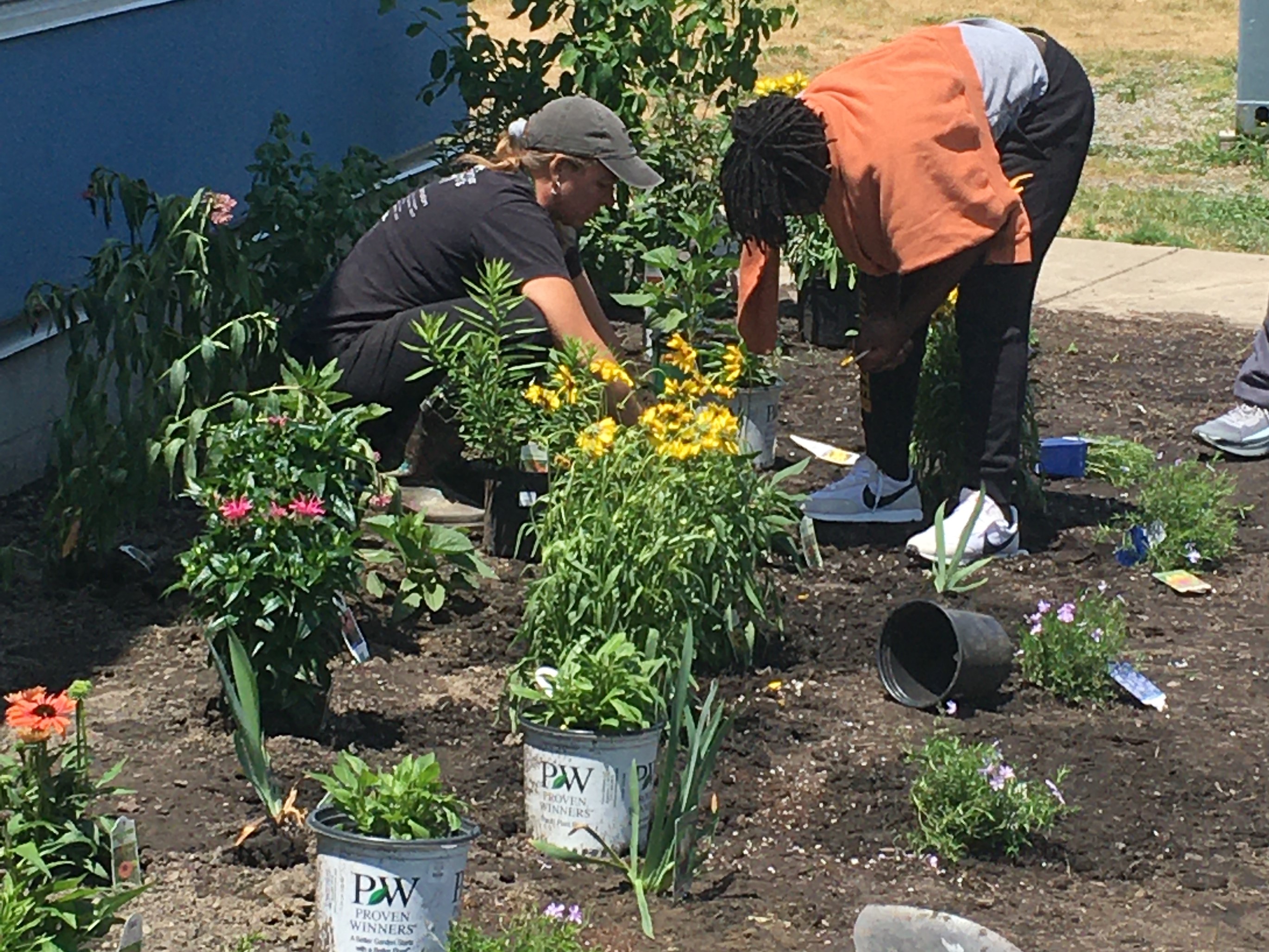 middle school students set up pollinator garden | FWS.gov