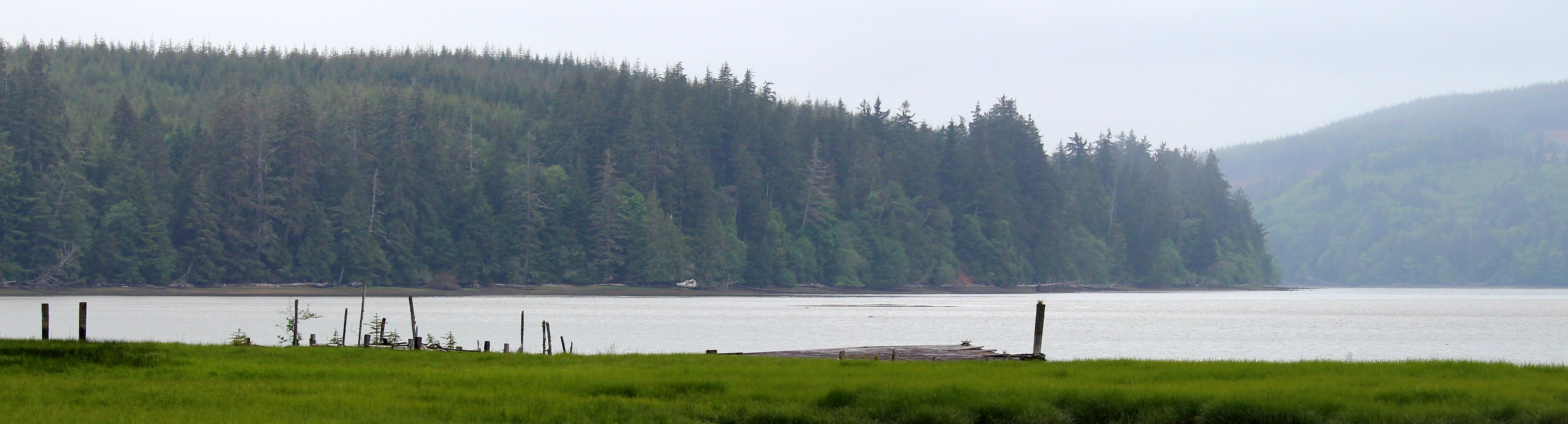 Willapa Bay along Willapa National Wildlife Refuge | FWS.gov