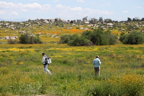 Two people walk through field. One has tanks on their back.