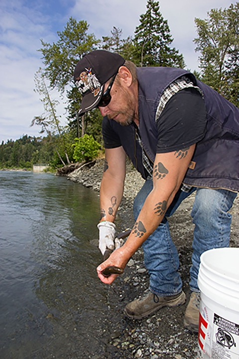 The Lower Elwha Klallam Tribe, Lamprey, and Restoring a Way of Life | U ...