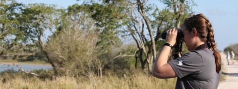 A woman with a braid in her hair looking through binoculars at a scrubby landscape