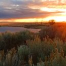 A bright orange sky with a setting sun with a pond and vegetation in the foreground